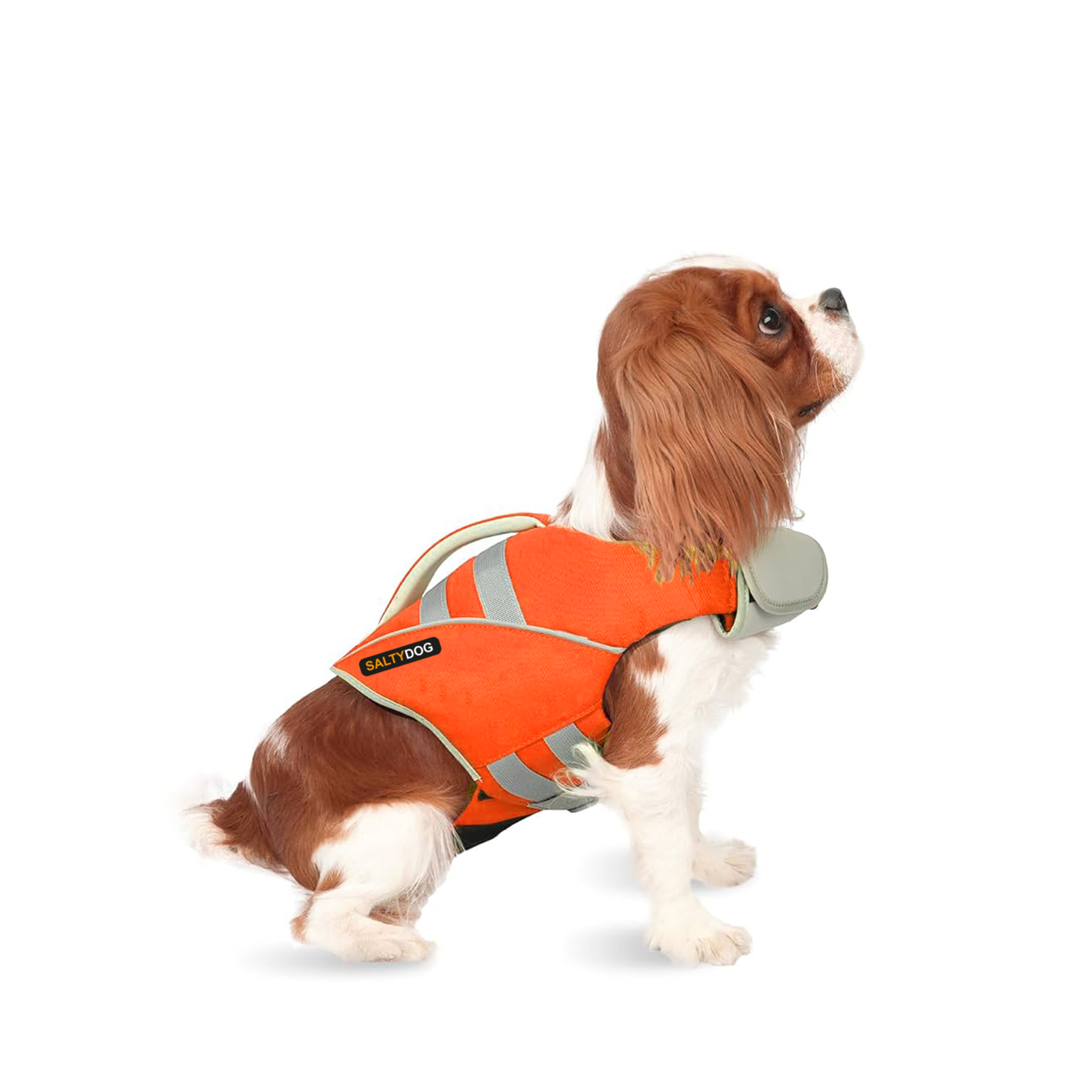 Dog Life Jacket Malibu Orange Waverider SALTYDOG