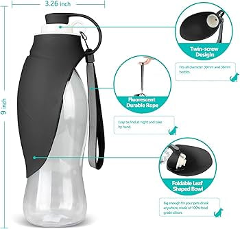 Portable Black Water Bottle