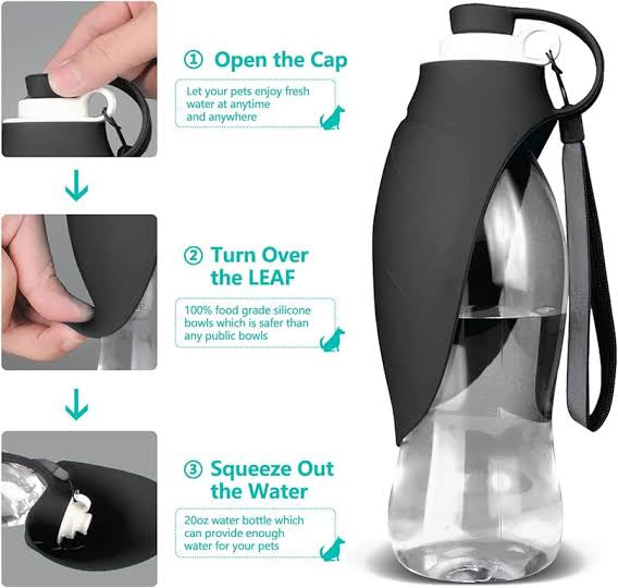 Portable Black Water Bottle