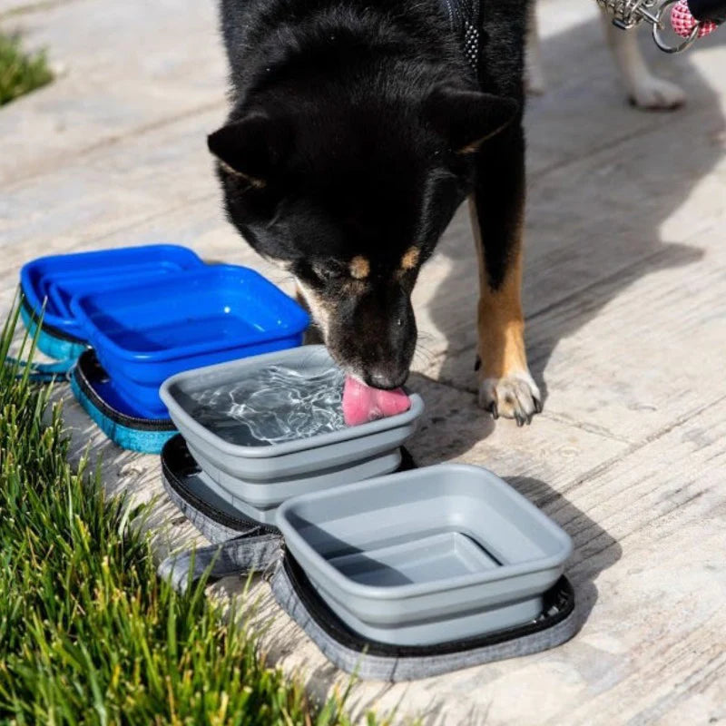 Port-a-bowl Water and Food Bowl