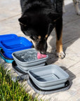 Port-a-bowl Water and Food Bowl