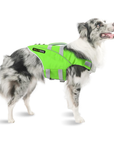 Dog Life Jacket - Caribbean Green Waverider