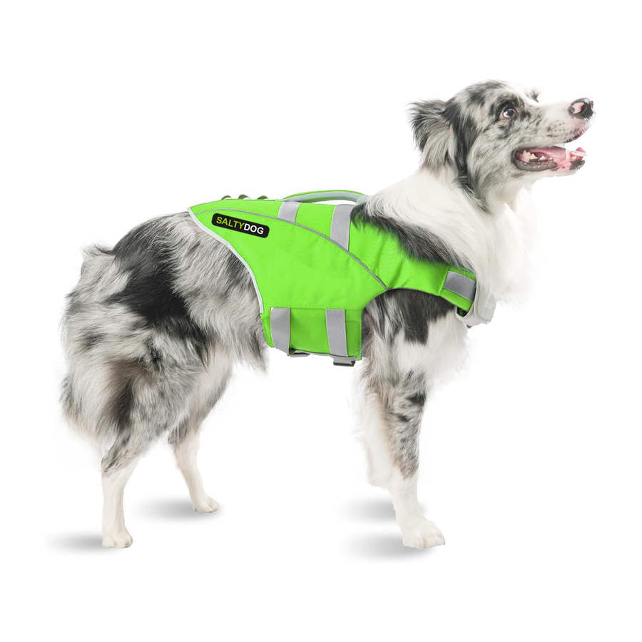 Dog Life Jacket - Caribbean Green Waverider