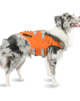 Dog Life Jacket - Malibu Orange Waverider