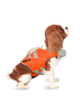 Dog Life Jacket - Malibu Orange Waverider