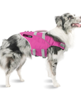 Dog Life Jacket - Fiesta Pink Waverider